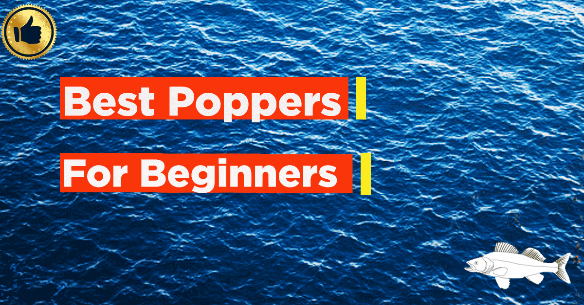 Best poppers for beginners