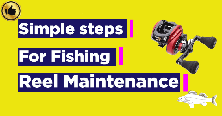 7 Simple Steps for Fishing Reel Maintenance