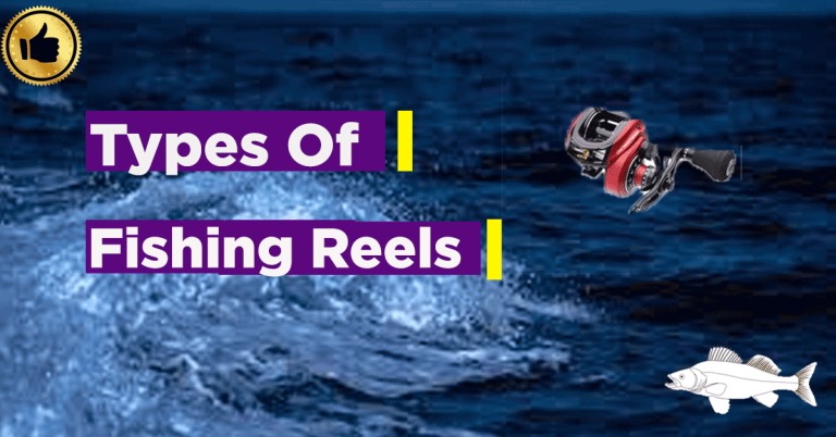 Types Of Fishing Reels