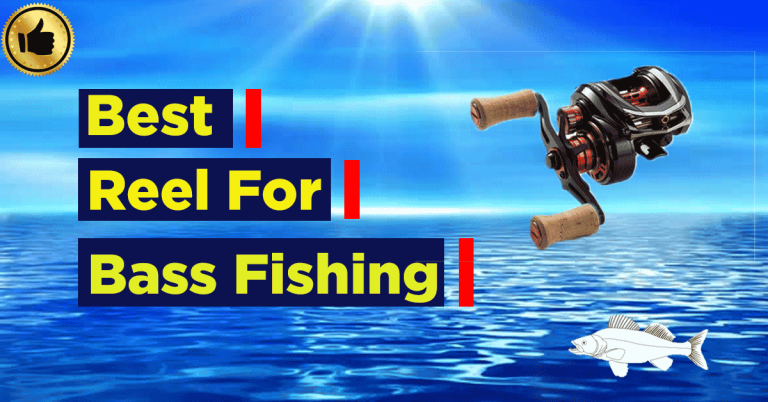 Best Reel For Bass Fishing