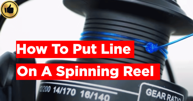 Put-line-on-a-Spinning-reel