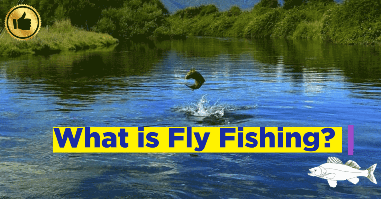 What Is Fly Fishing? Beginners Guide