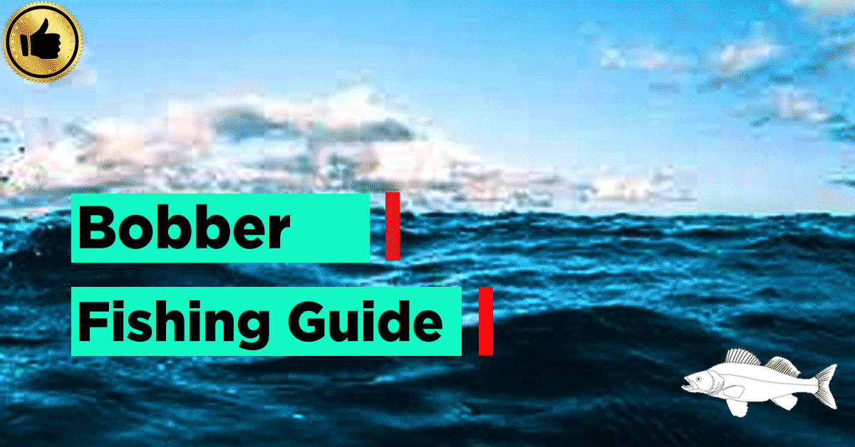 Bobber Fishing guide