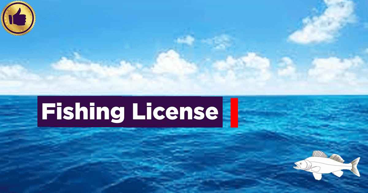 Fishing License