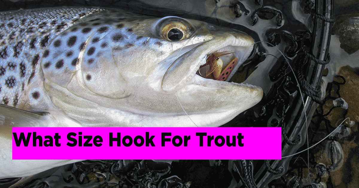 What size hook for trout