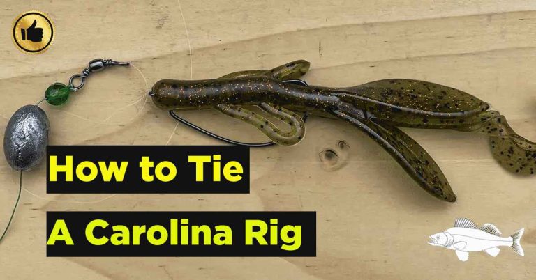 How to Tie a Carolina Rig- A Complete Guide