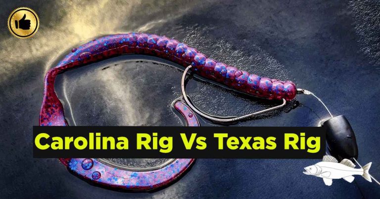 Carolina Rig Vs Texas Rig: What’s Best in 2024?