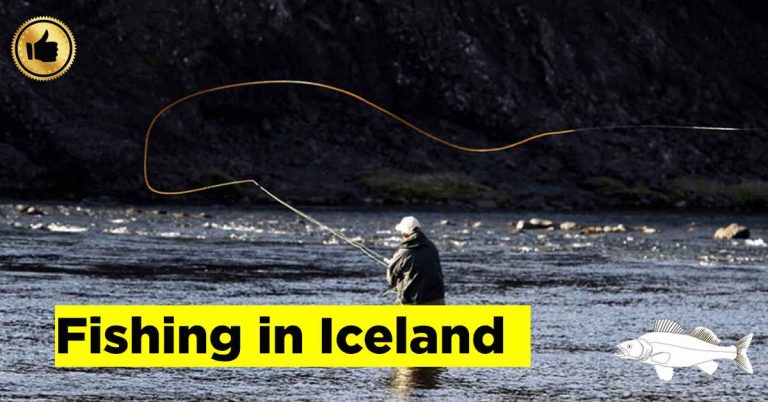 Fishing in Iceland Guide 2024