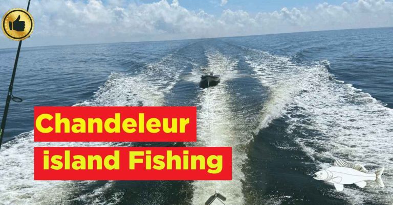 Chandeleur Island Fishing: The Ultimate Guide