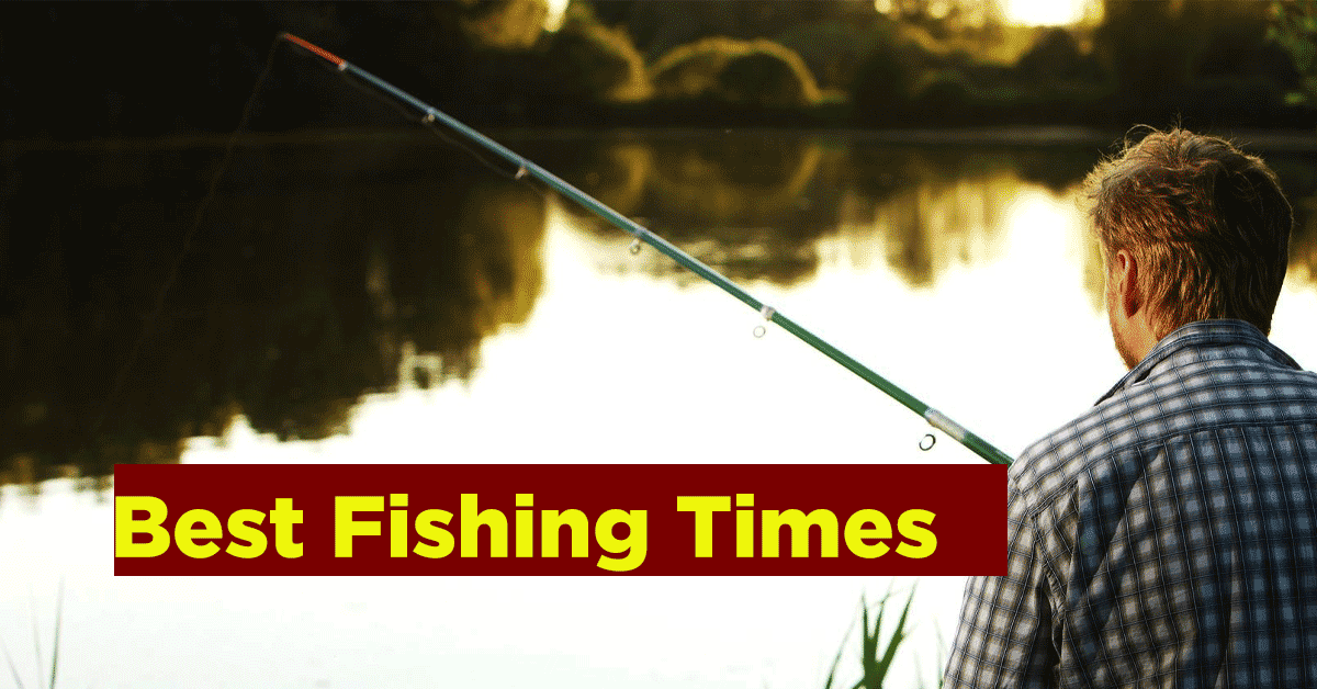best fishing times