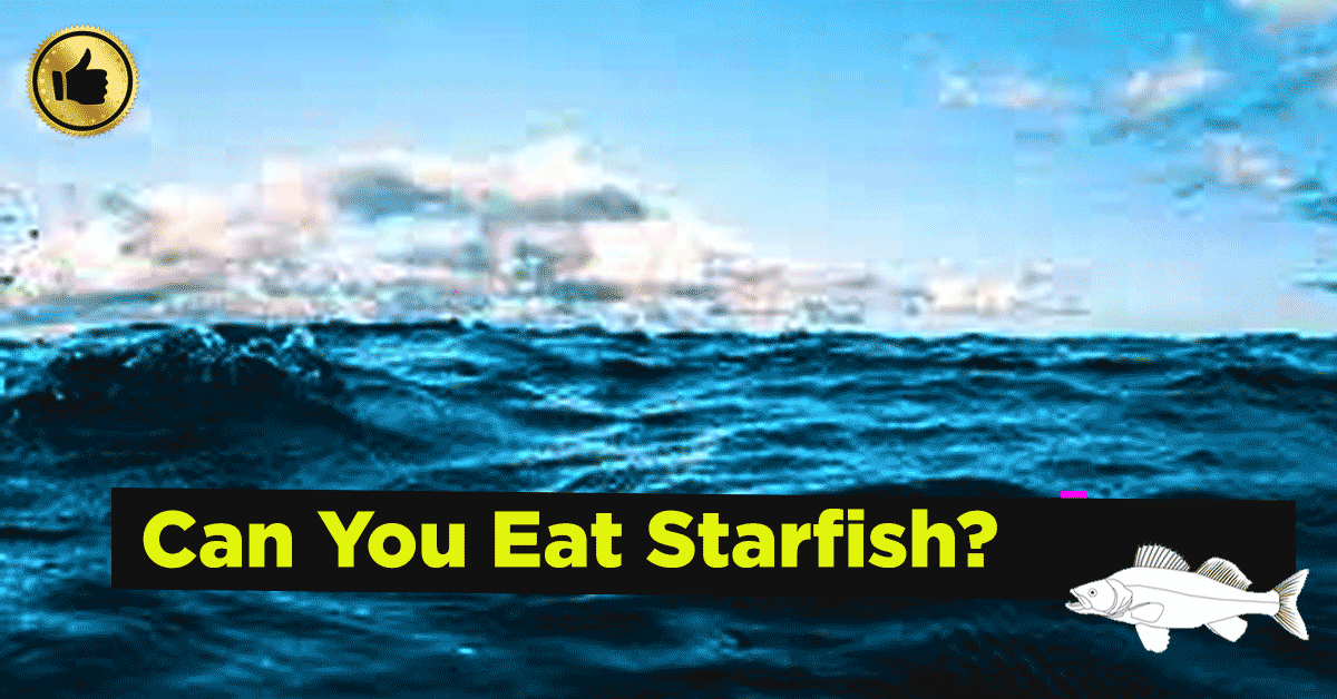 Can you Eat Starfish? What does starfish taste like?