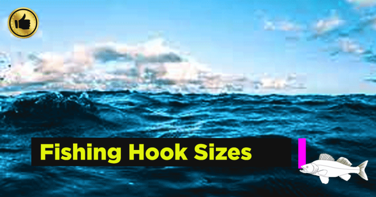 Fishing Hook Size Chart: Best for Catching More Fish