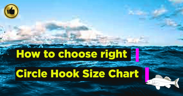 Right Circle Hook Size Chart: Mastering the Catch